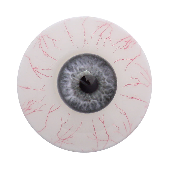 Auge, Adern, weißer Hintergrund