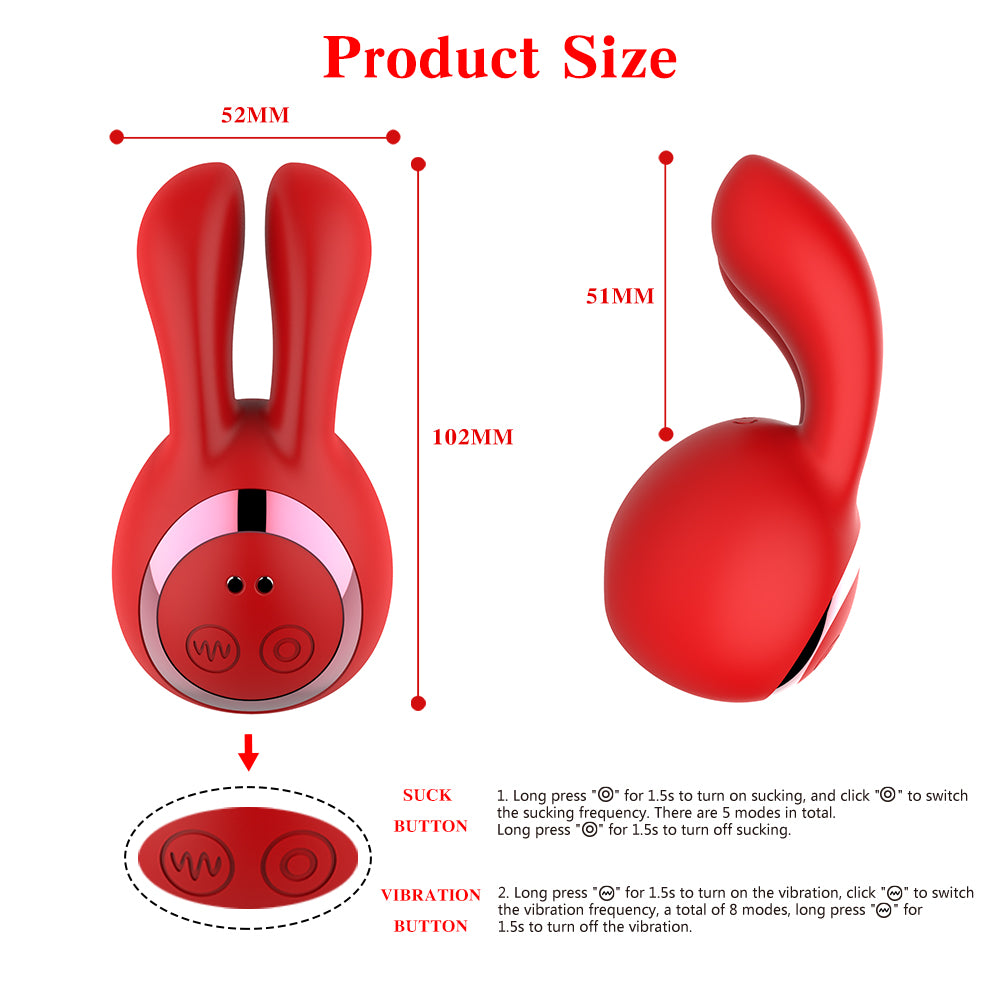 Vibrator Stimulation Clitoris Vagina GM-083