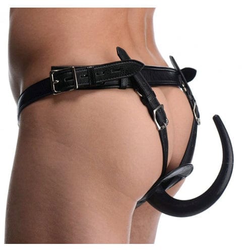Master Series Analplugs Default Master Series Analplug Ass Holster Analplug Gurtzeug diskret bestellen bei marielove