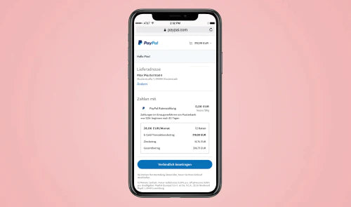 Smartphone, Online-Zahlung, PayPal-Interface